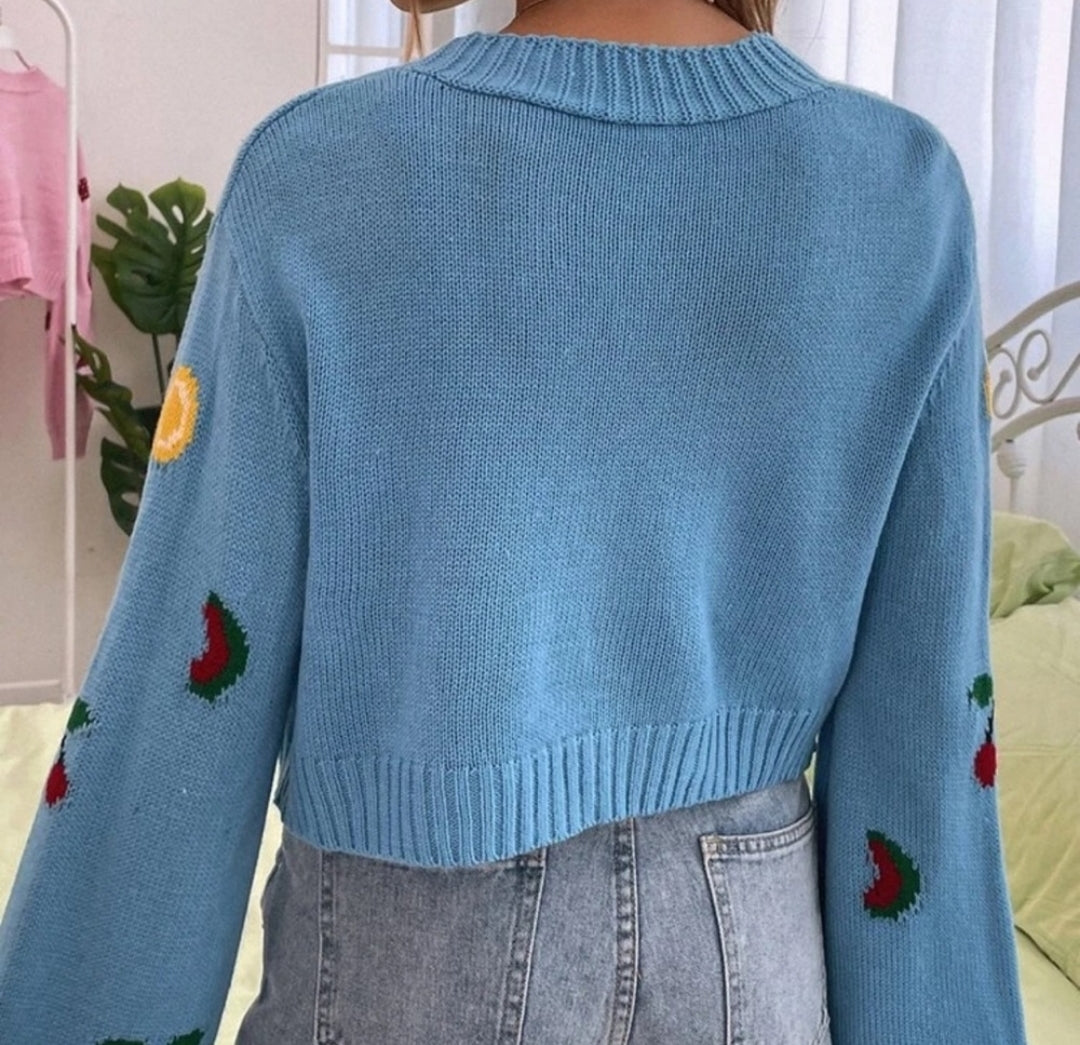 Fruity Sweater Twinset