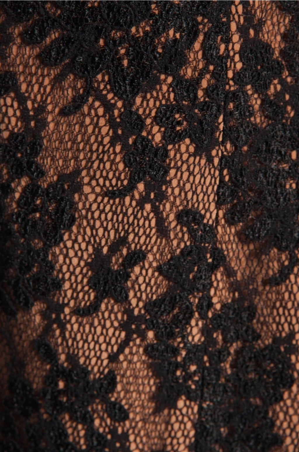 Haute Hippie Black Nude Lace dress